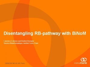 Disentangling RBpathway with Bi No M Laurence Calzone