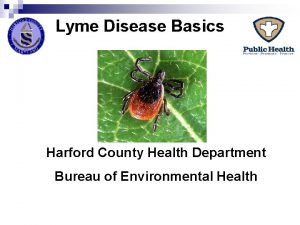 Lyme Disease Basics Harford County Health Department Bureau
