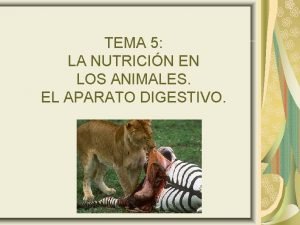 TEMA 5 LA NUTRICIN EN LOS ANIMALES EL