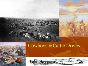 Cowboys Cattle Drives Cowboys n n n Learned