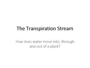 What is transpiration stream