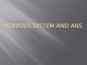 Nervous system defination