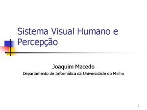 Sistema Visual Humano e Percepo Joaquim Macedo Departamento