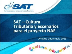 Estructura organizacional de la sat