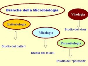Branche della Microbiologia Virologia Batteriologia Micologia Studio dei
