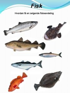 Fisk Hvordan f en selgende fiskeavdeling Fisk og