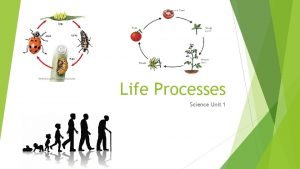 Life Processes Science Unit 1 Characteristics of life