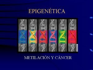 Epigentica