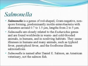 Salmonella Salmonella is a genus of rodshaped Gramnegative