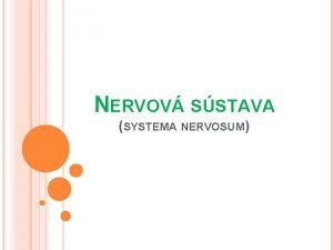 Systema nervosum