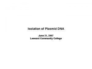 Isolation of Plasmid DNA June 21 2007 Leeward