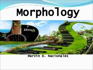 Importance of morphology