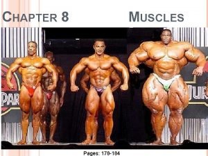 CHAPTER 8 MUSCLES Pages 178 184 INTRODUCTION Muscles