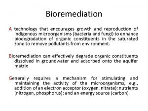 Bioremediation A technology that encourages growth and reproduction