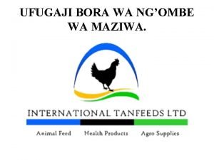 UFUGAJI BORA WA NGOMBE WA MAZIWA UFUGAJI BORA