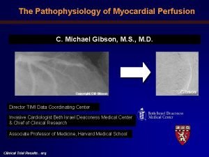 The Pathophysiology of Myocardial Perfusion C Michael Gibson