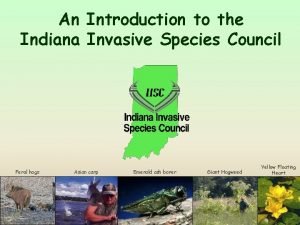 Indiana invasive species council