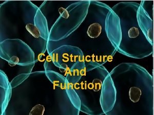 Cell Structure And Function Cell the smallest unit