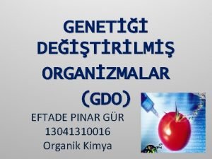 GENET DETRLM ORGANZMALAR GDO EFTADE PINAR GR 13041310016