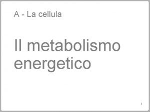 Metabolismo energetico de la celula eucariota