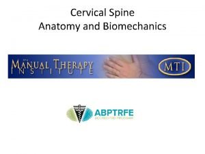 Cervical Spine Anatomy and Biomechanics Typical Cervical Vertebra