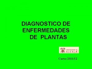 DIAGNOSTICO DE ENFERMEDADES DE PLANTAS Curso 201112 DIAGNSTICO