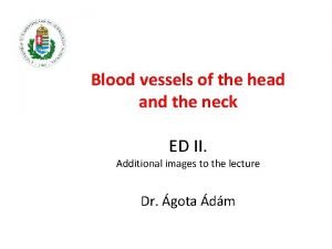 Blood vessels of the head and the neck