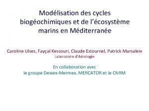 Modlisation des cycles biogochimiques et de lcosystme marins
