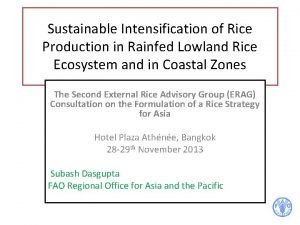 Sustainable Intensification of Rice Production in Rainfed Lowland