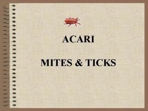 ACARI MITES TICKS Mites and ticks collectively known