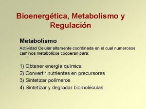 Bioenergtica Metabolismo y Regulacin Metabolismo Actividad Celular altamente