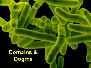 Domains Dogma Systematics of Prokaryotes Focus on animals