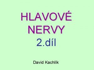 HLAVOV NERVY 2 dl David Kachlk Vvojov dlen