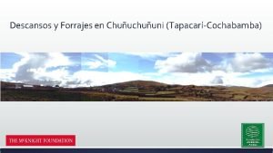 Descansos y Forrajes en Chuuchuuni TapacarCochabamba Qu persegua