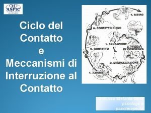 Ciclo del contatto