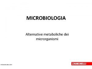 MICROBIOLOGIA Alternative metaboliche dei microrganismi Zanichelli editore 2013