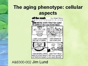 The aging phenotype cellular aspects AS 300 002