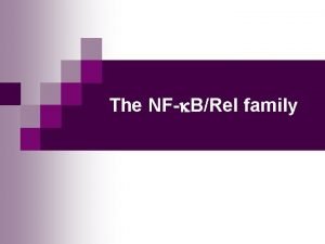 The NF BRel family MBV 4230 The NFBRel