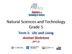 Natural science and technology grade 5 lesson plans term 2