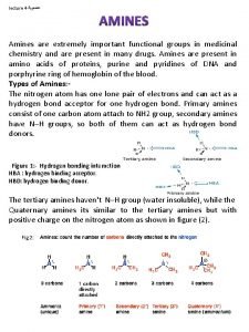 lecture 4 Amines are extremely important functional groups
