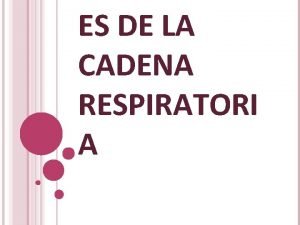 ES DE LA CADENA RESPIRATORI A ENFERMEDADES MITOCONDRIALES