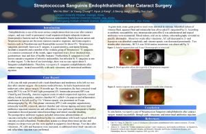 Streptococcus Sanguinis Endophthalmitis after Cataract Surgery Min Ho