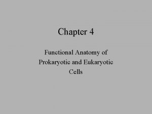 Chapter 4 Functional Anatomy of Prokaryotic and Eukaryotic