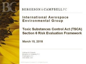 International aerospace environmental group