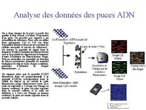 Analyse des donnes des puces ADN On a