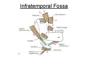 Infratemporal Fossa Boundaries of Infratemporal fossa Temporomandibular joint