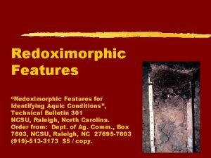 Redoximorphic Features Redoximorphic Features for Identifying Aquic Conditions