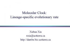 Molecular clock hypothesis