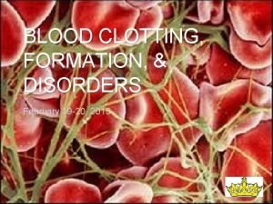 BLOOD CLOTTING FORMATION DISORDERS February 19 20 2015