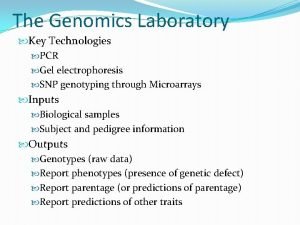 The Genomics Laboratory Key Technologies PCR Gel electrophoresis